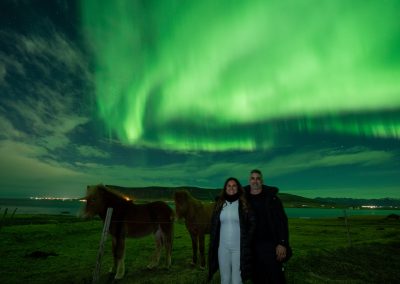 Icelandic horses beneath the Northern Lights