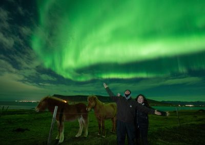 Guests and Icelandic horses beneath the aurora