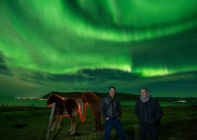 Visitors and Icelandic horses beneath the Northern Lights