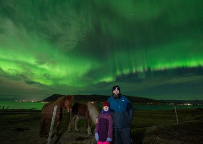 Visitors watching Northern Lights beside Icelandic horses